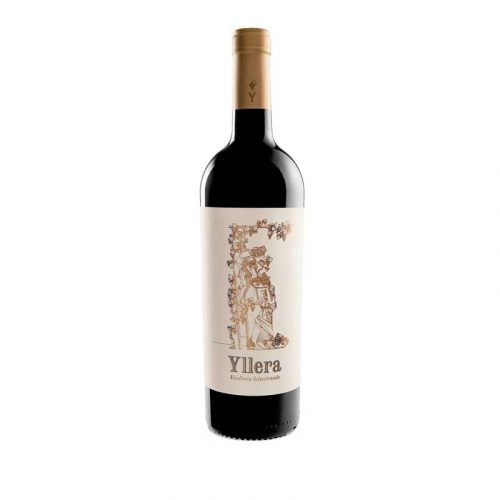 Vino tinto Vendimia Seleccionada 2019 de Yllera
