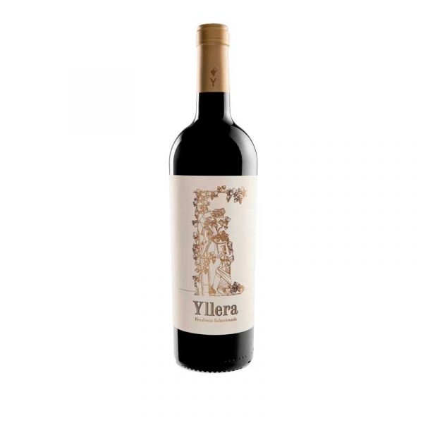Vino tinto Vendimia Seleccionada 2019 de Yllera