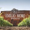 Vino tinto Emilio Moro Crianza D.O. Ribera del Duero