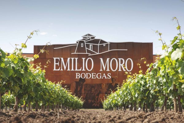 Vino tinto Emilio Moro Crianza D.O. Ribera del Duero
