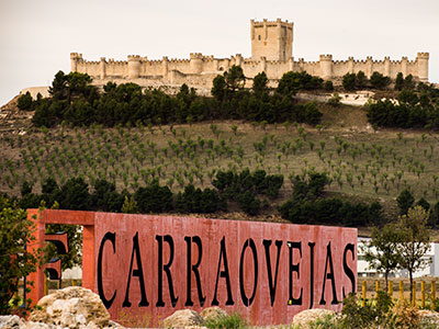 Vino tinto Pago de Carrovejas Crianza D.O. Ribera del Duero