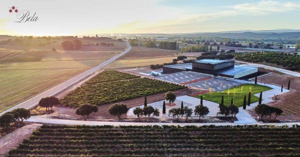 Vino tinto roble Bela D.O. Ribera del Duero