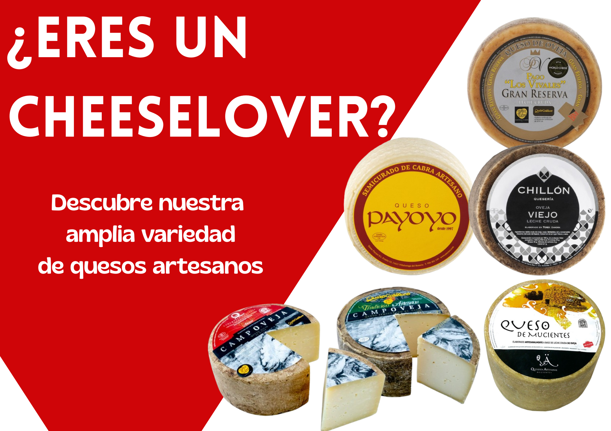 Gran variedad de quesos artesanos